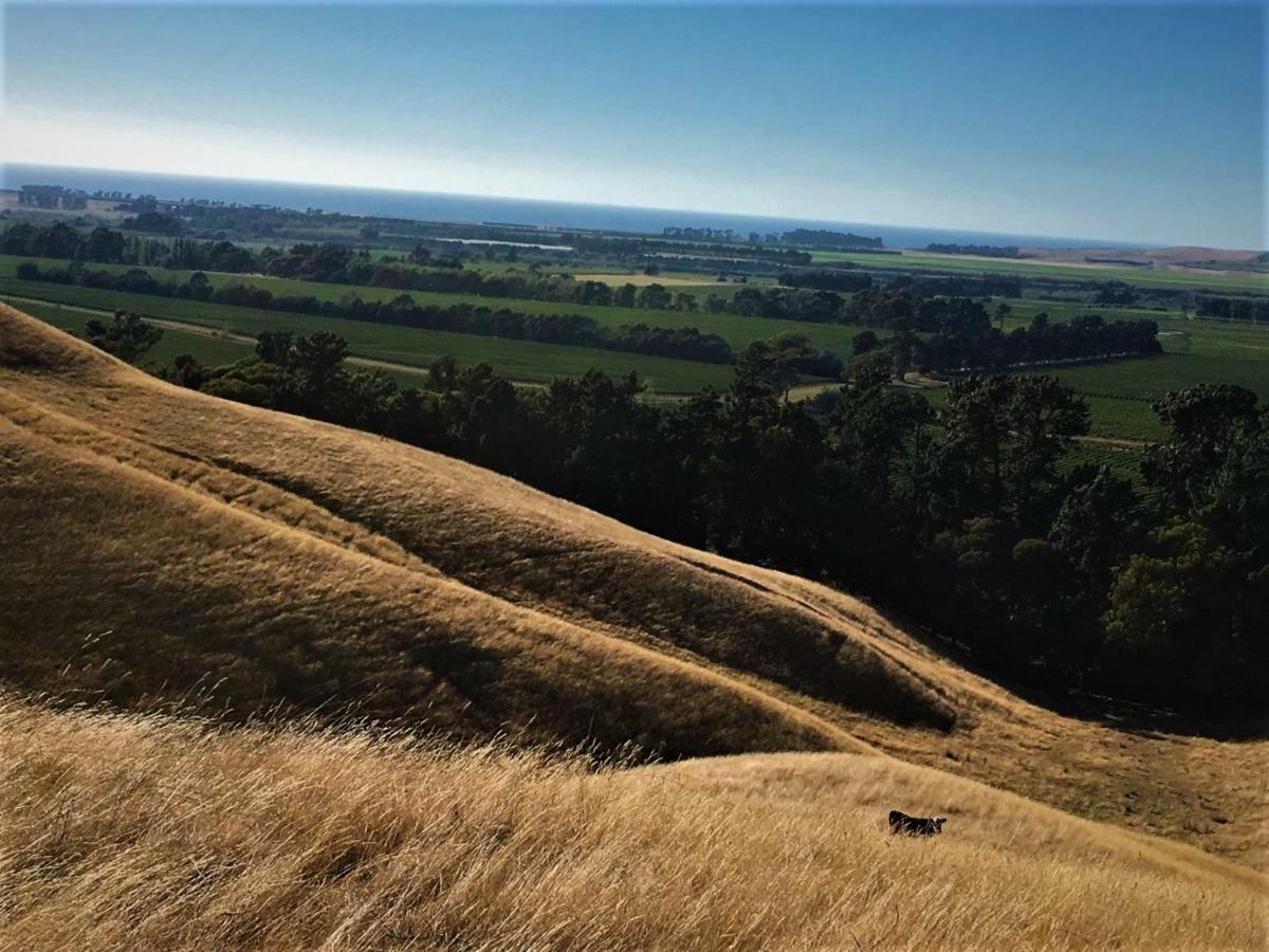 Hill Top Retreat Lower Dashwood Экстерьер фото